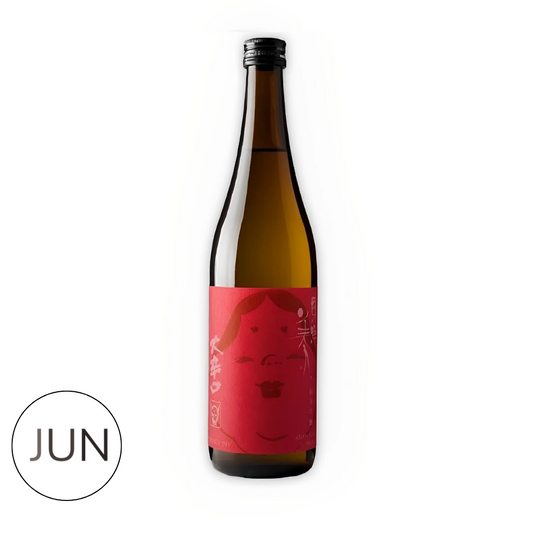 TOYO BIJIN Junmai Ginjo Okarakuchi (720ml)